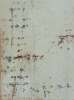 Image of Texto II